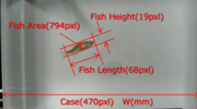 小型魚類モデル生物の動線解析，寸法計測を可能に