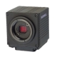 1/2.8型213万画素，裏面照射型CMOSセンサー搭載のHD-SDI高感度カラーボックスカメラ