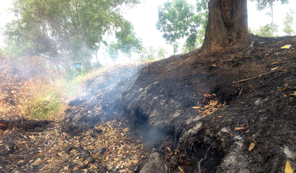 図1　2013年10月，インドネシア・カリマンタン島パランカラヤで行われた現地調査での泥炭火災の様子