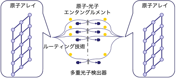 図3　ネットワーク型原子量子コンピューター概念図